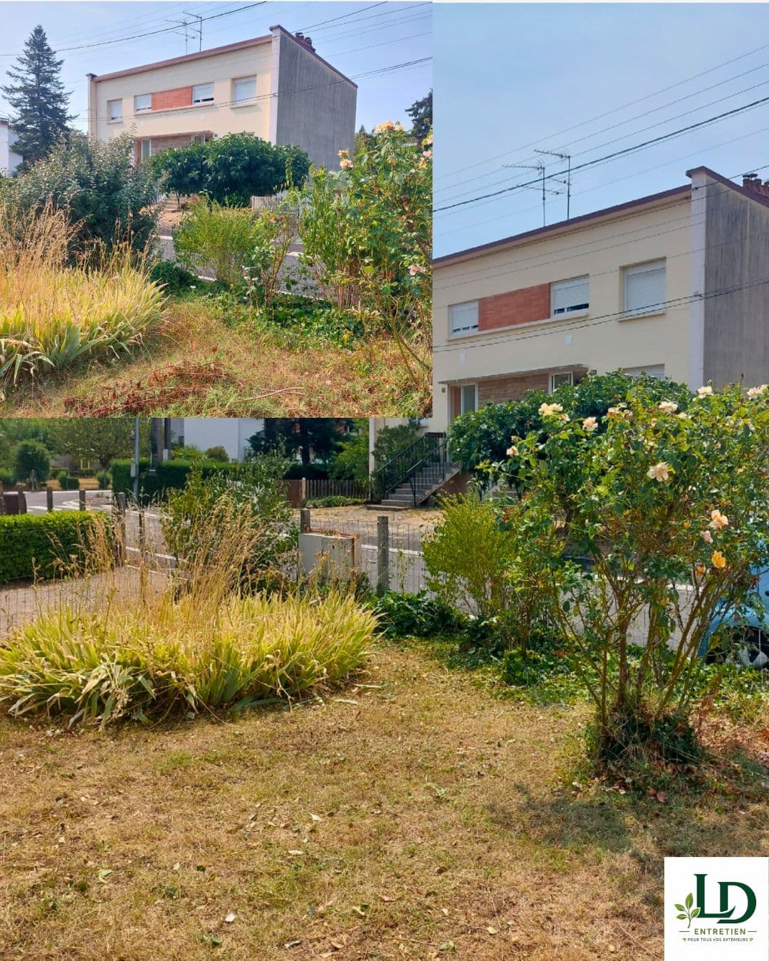 Garden maintenance and outdoor cleaning in Carmaux (7)