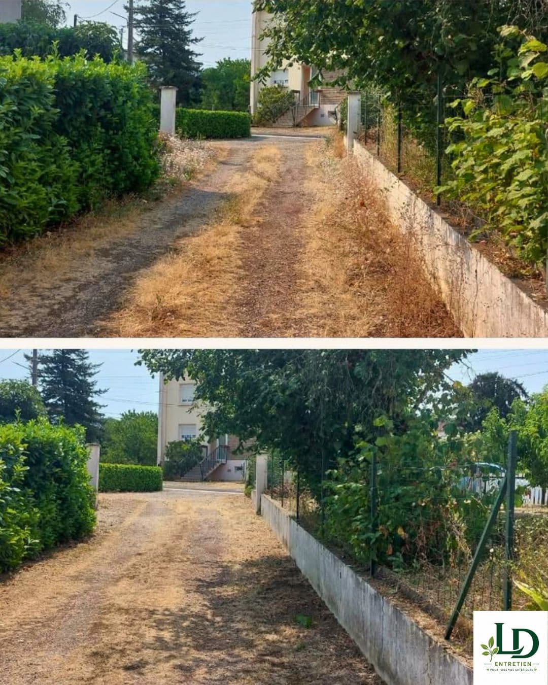 Garden maintenance and outdoor cleaning in Carmaux (5)