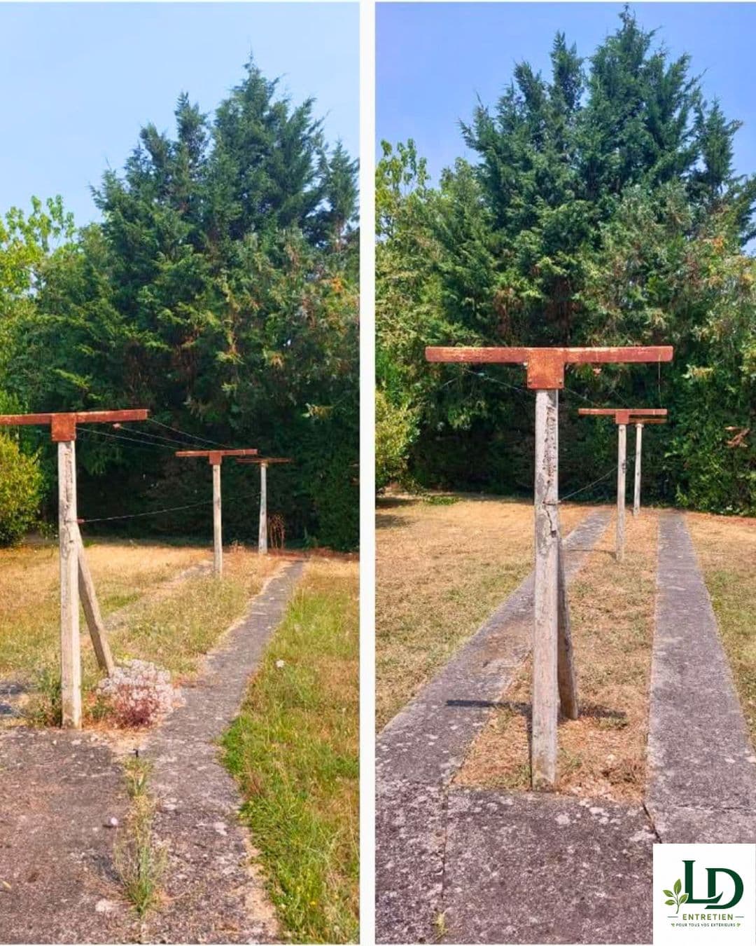 Garden maintenance and outdoor cleaning in Carmaux (6)