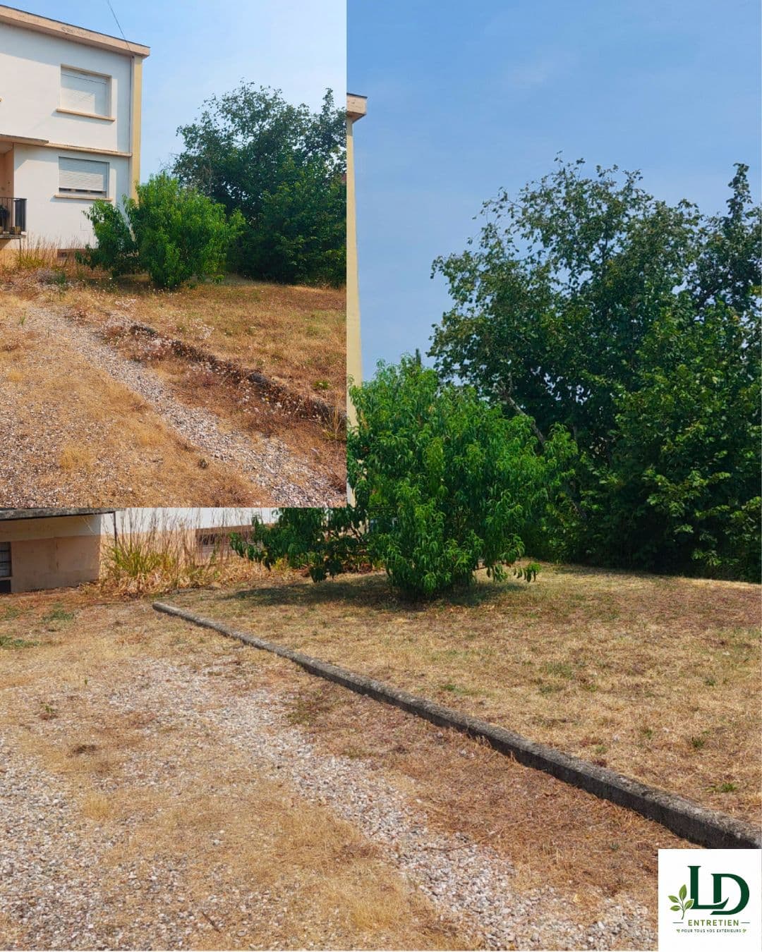 Garden maintenance and outdoor cleaning in Carmaux (8)