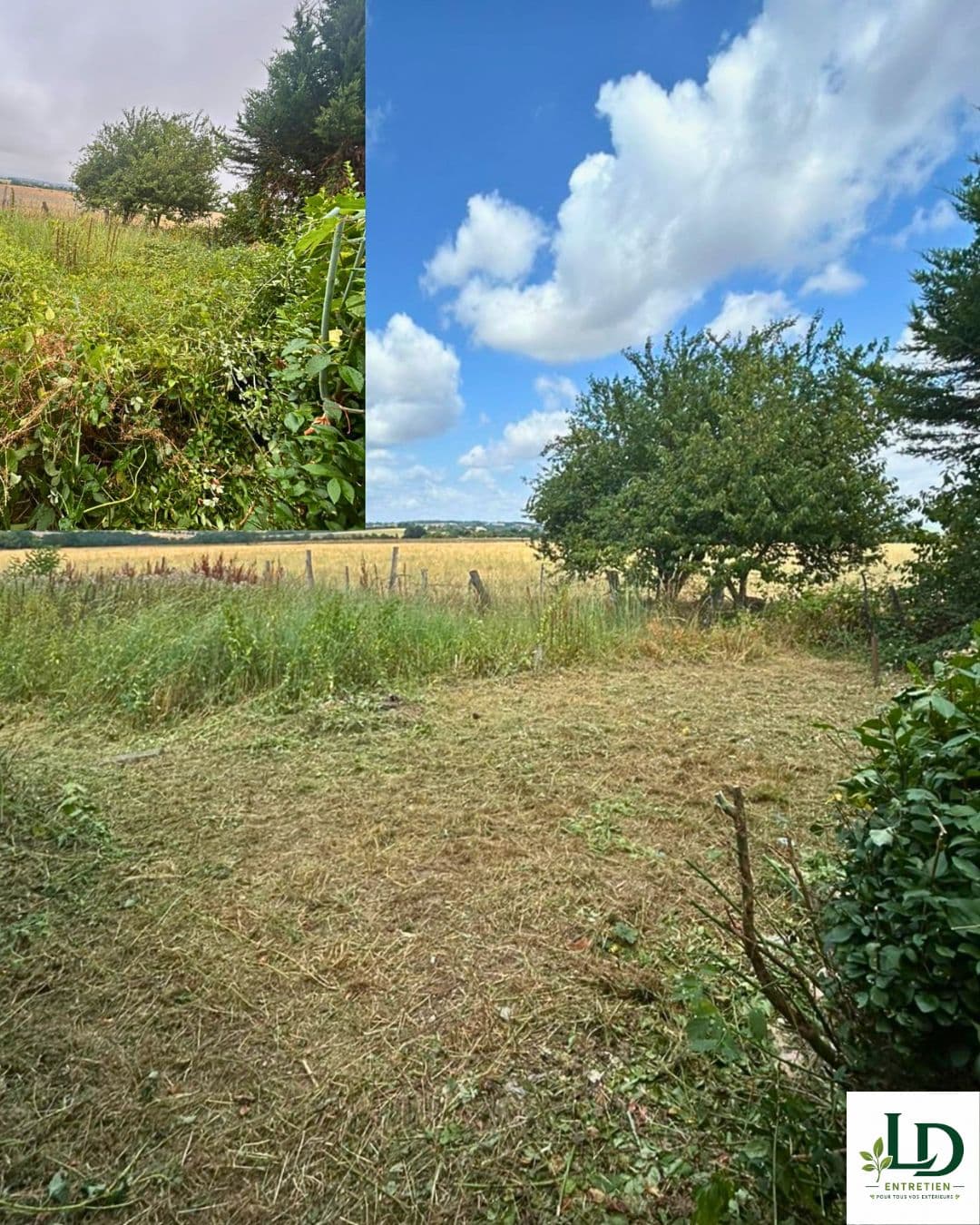 Garden maintenance and outdoor cleaning in Carmaux (14)