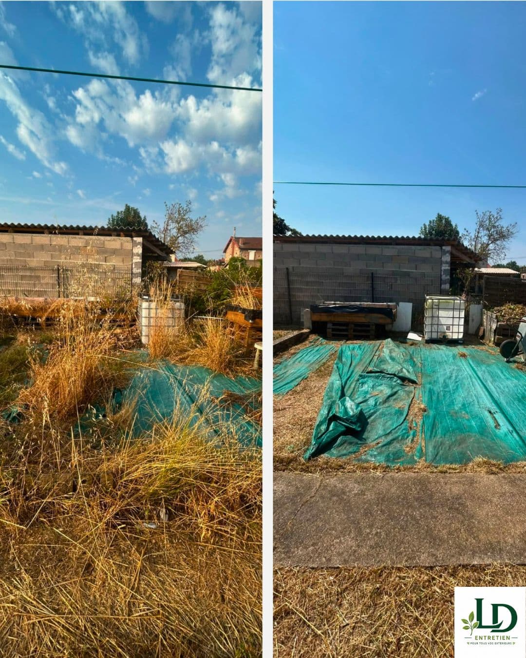 Garden maintenance and outdoor cleaning in Carmaux (2)