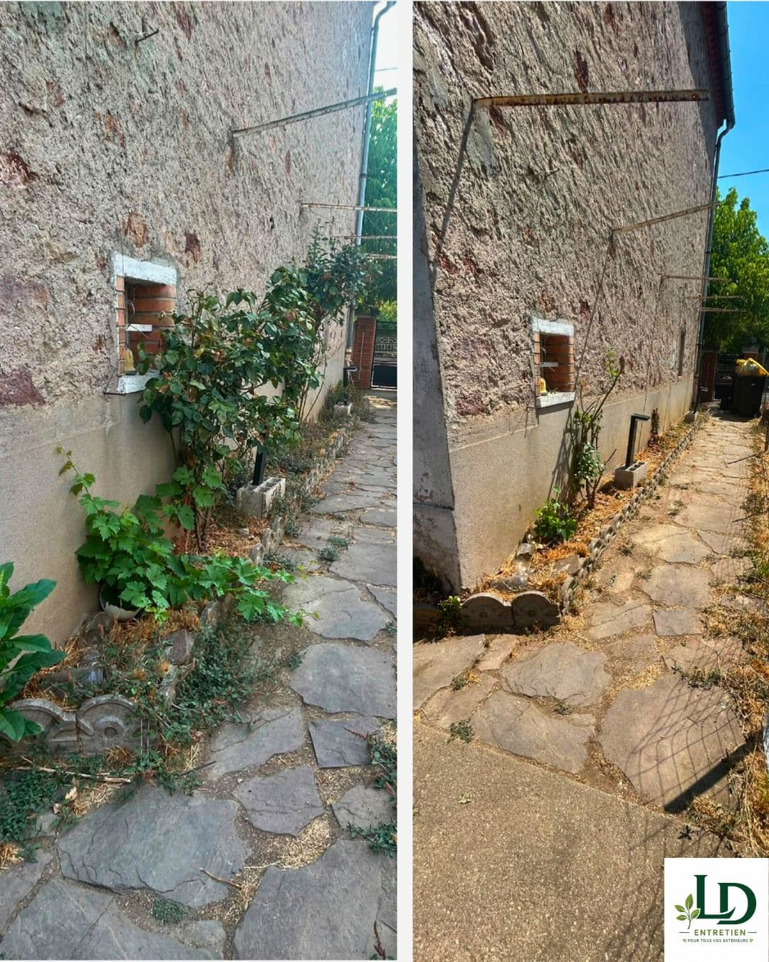 Garden maintenance and outdoor cleaning in Carmaux (4)