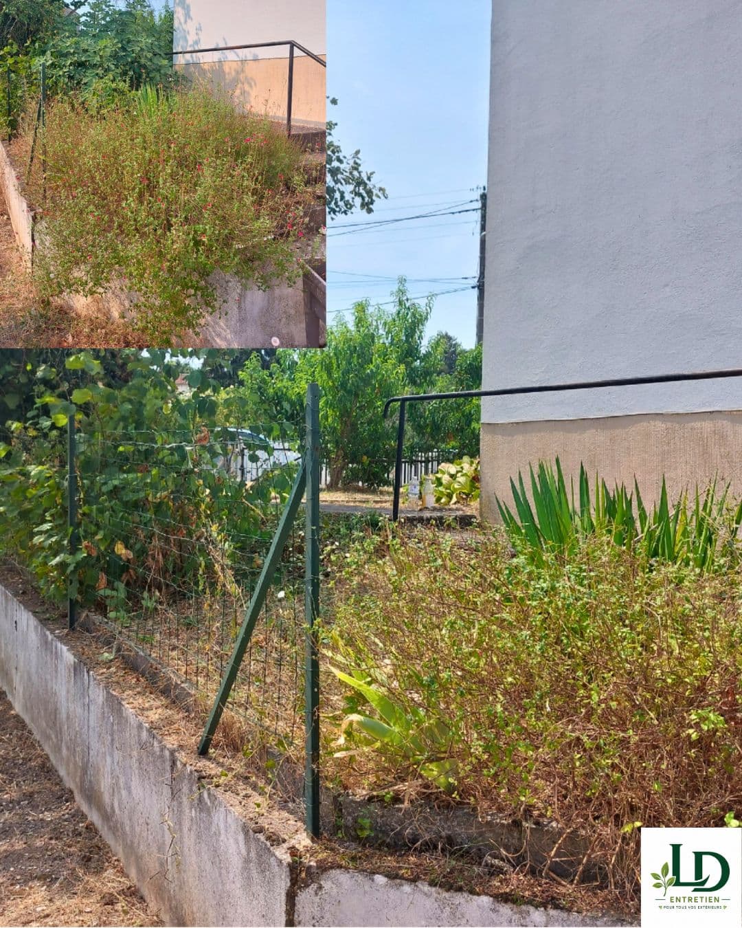 Garden maintenance and outdoor cleaning in Carmaux (9)