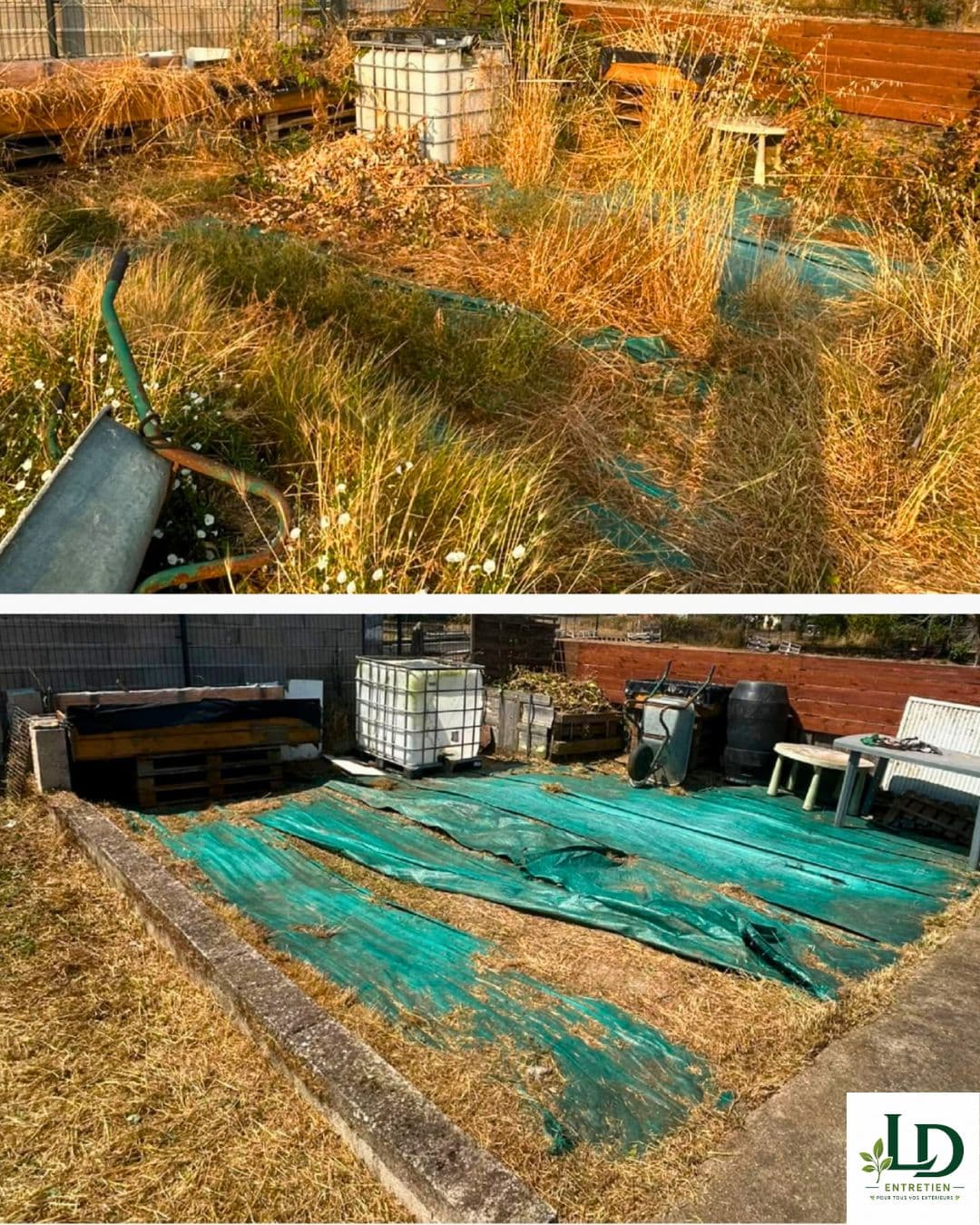 Garden maintenance and outdoor cleaning in Carmaux (11)