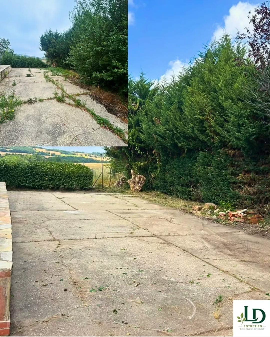 Garden maintenance and outdoor cleaning in Carmaux (12)